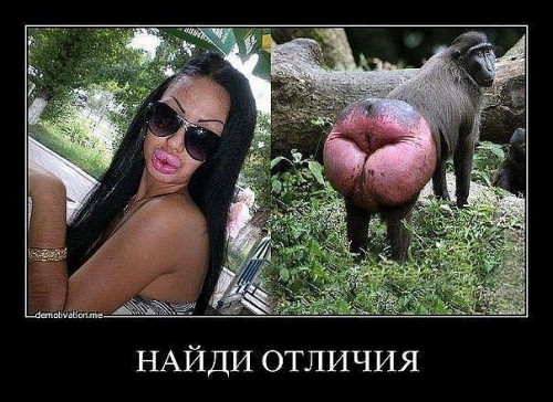 getImage.jpeg