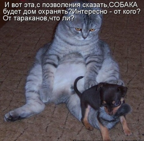 x_8de36328.jpg