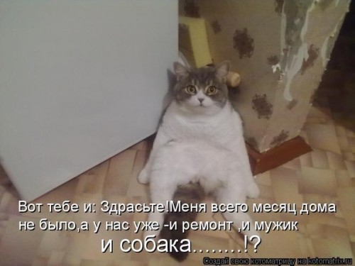 k7.jpg