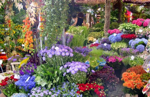 a_Bloemenmark-a.jpg