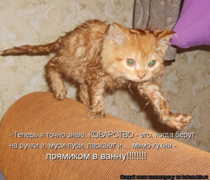 1288900556_kotomatrix-4.jpg