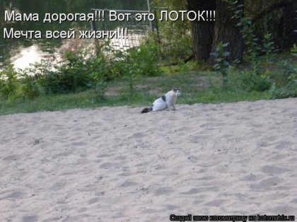 1288900565_kotomatrix-11.jpg